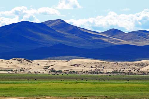contrasts of mongolia