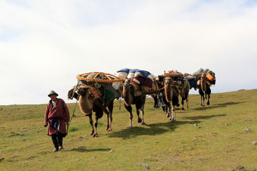 The Silk Road Camel Caravan