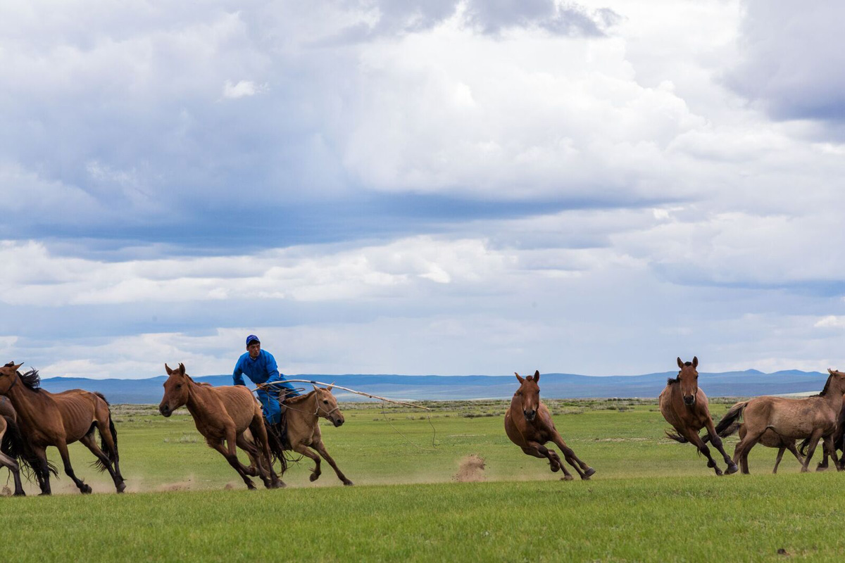 mongolia community tourism