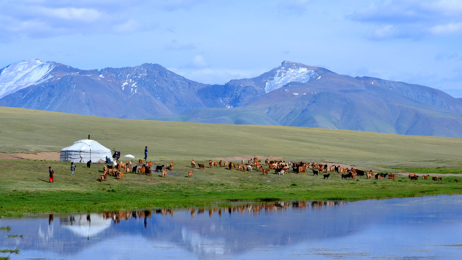 Mongolia - Pictures