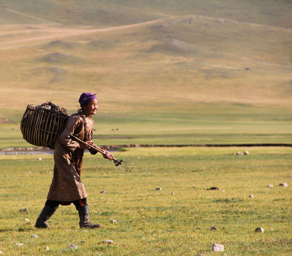 mongolian steppe nomads