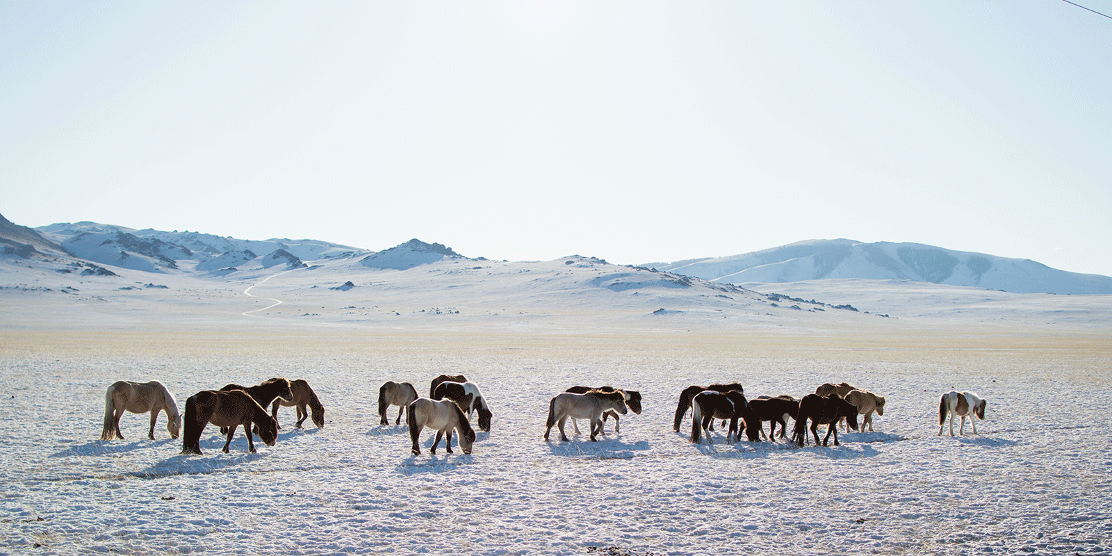 Tour Mongolia - Your responsible travel partner