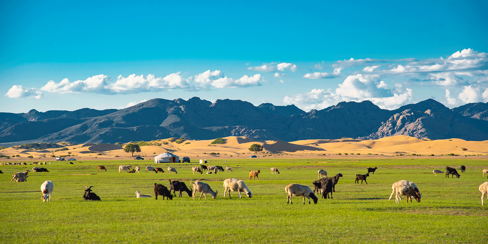 Mongolia Tours A Journey Beyond Boundaries An Experience Beyond Words 
